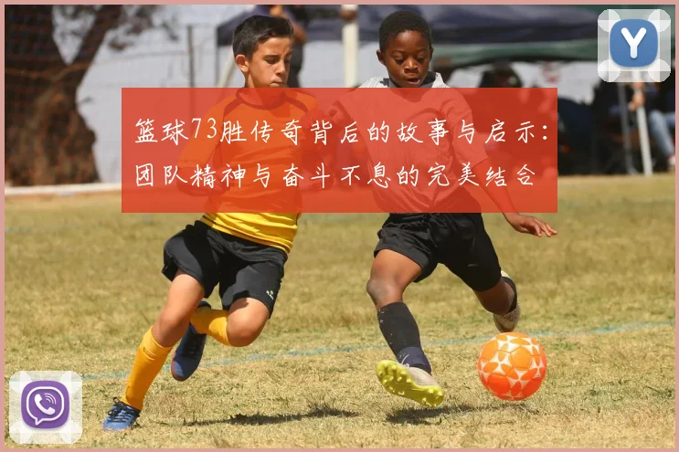 篮球73胜传奇背后的故事与启示：团队精神与奋斗不息的完美结合
